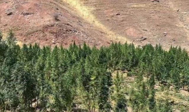 18 ilde Narkoçelik operasyonu: 1 tondan fazla uyuşturucu ele geçirildi