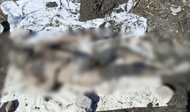 Kızının katilini televizyondan tanıdı