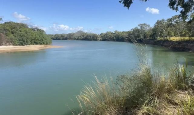 Avustralya'da timsahın karnında insan kalıntıları bulundu