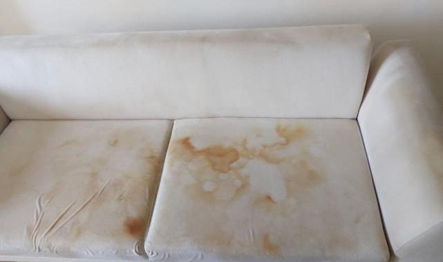 Aydın'da temizlik yaparak mühendislerden fazla para kazanmaya başladı