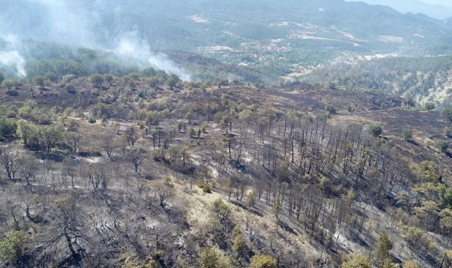 Bolu, Aydın ve İzmir Yamanlar'da çıkan yangınlarda zarar gören alan görüntülendi