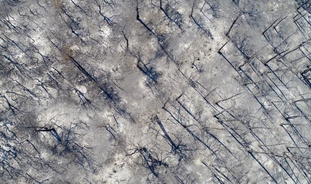 Bolu, Aydın ve İzmir Yamanlar'da çıkan yangınlarda zarar gören alan görüntülendi