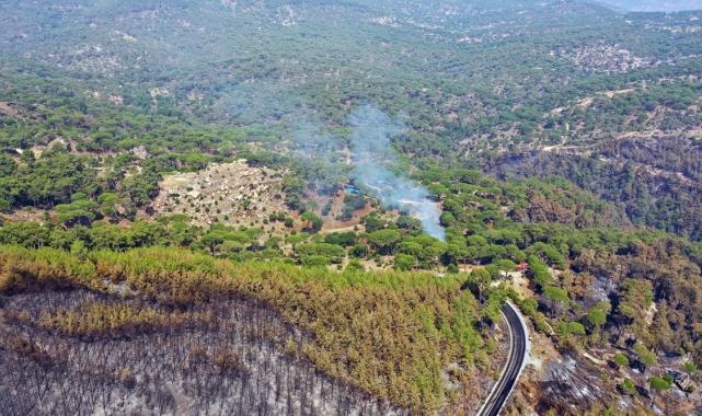 Bolu, Aydın ve İzmir Yamanlar'da çıkan yangınlarda zarar gören alan görüntülendi