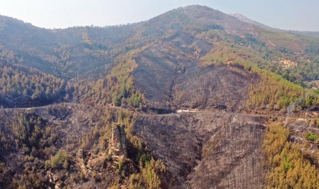 Bolu, Aydın ve İzmir Yamanlar'da çıkan yangınlarda zarar gören alan görüntülendi