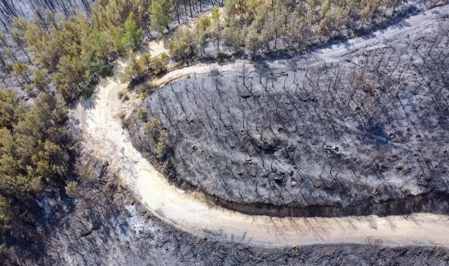 Bolu, Aydın ve İzmir Yamanlar'da çıkan yangınlarda zarar gören alan görüntülendi