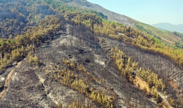 Bolu, Aydın ve İzmir Yamanlar'da çıkan yangınlarda zarar gören alan görüntülendi