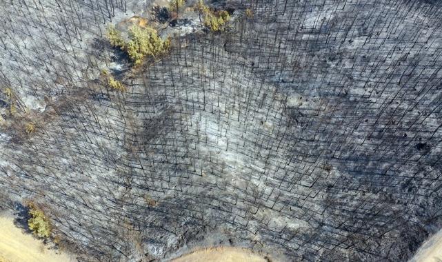 Bolu, Aydın ve İzmir Yamanlar'da çıkan yangınlarda zarar gören alan görüntülendi