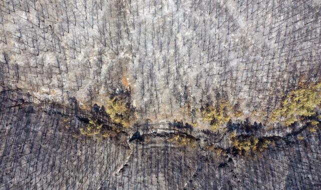 Bolu, Aydın ve İzmir Yamanlar'da çıkan yangınlarda zarar gören alan görüntülendi