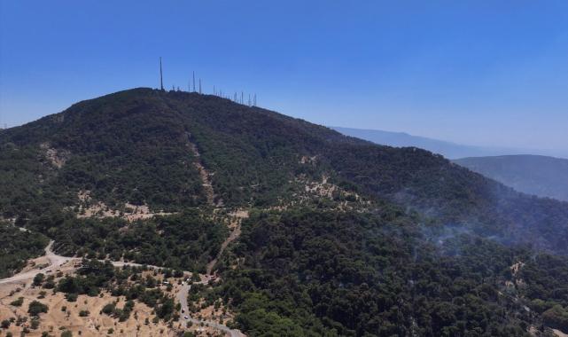 Bolu, Aydın ve İzmir Yamanlar'da çıkan yangınlarda zarar gören alan görüntülendi