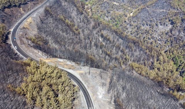 Bolu, Aydın ve İzmir Yamanlar'da çıkan yangınlarda zarar gören alan görüntülendi