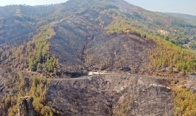 Bolu, Aydın ve İzmir Yamanlar'da çıkan yangınlarda zarar gören alan görüntülendi
