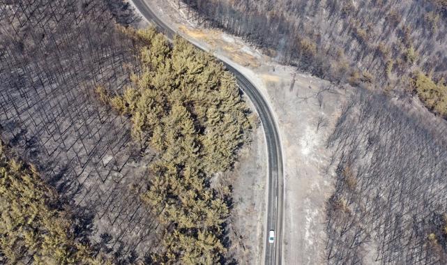 Bolu, Aydın ve İzmir Yamanlar'da çıkan yangınlarda zarar gören alan görüntülendi