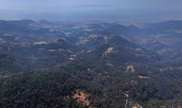 Bolu, Aydın ve İzmir Yamanlar'da çıkan yangınlarda zarar gören alan görüntülendi