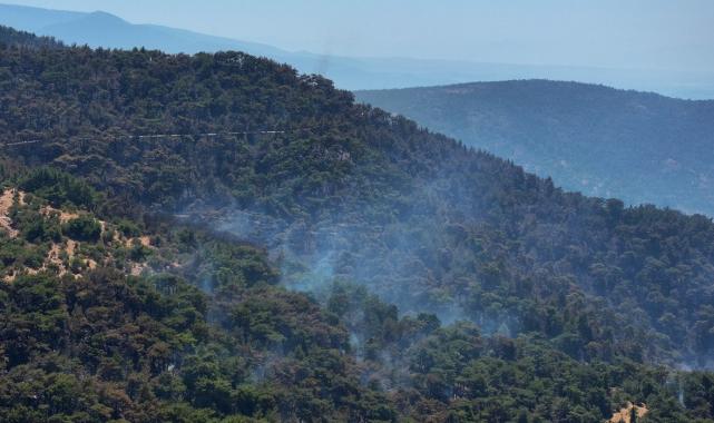 Bolu, Aydın ve İzmir Yamanlar'da çıkan yangınlarda zarar gören alan görüntülendi