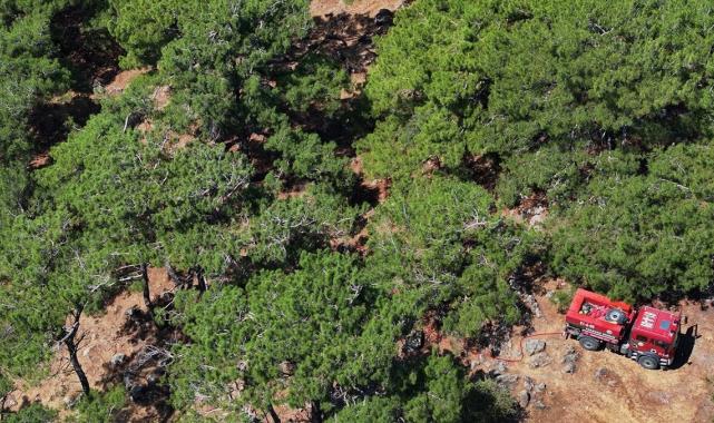 Bolu, Aydın ve İzmir Yamanlar'da çıkan yangınlarda zarar gören alan görüntülendi