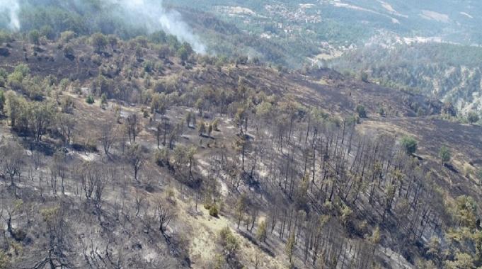 Bolu, Aydın ve İzmir Yamanlar&#039;da çıkan yangınlarda zarar gören alan görüntülendi