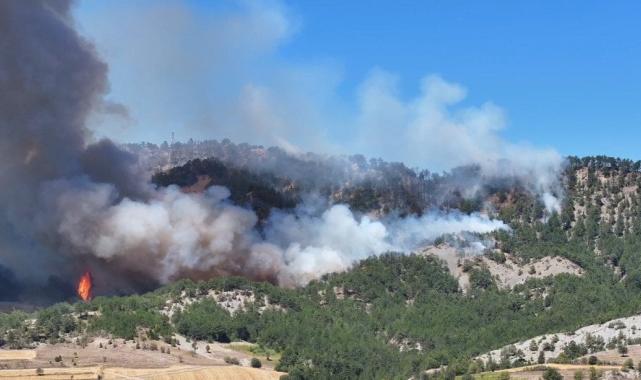 Bolu orman yangınında alevlerin içinde kaldı: O anları anlattı