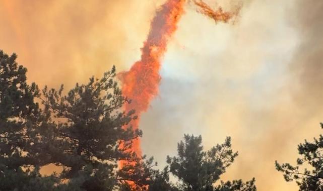 Bolu orman yangınında alevlerin içinde kaldı: O anları anlattı