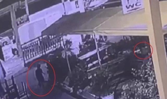 Bursa esnafının maskotu 'Kontes' buzdolabında ölü bulundu