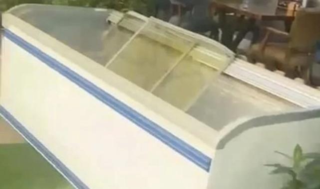 Bursa esnafının maskotu 'Kontes' buzdolabında ölü bulundu