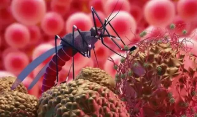 Bursa’da Batı Nil Virüsü tehlikesi büyüyor