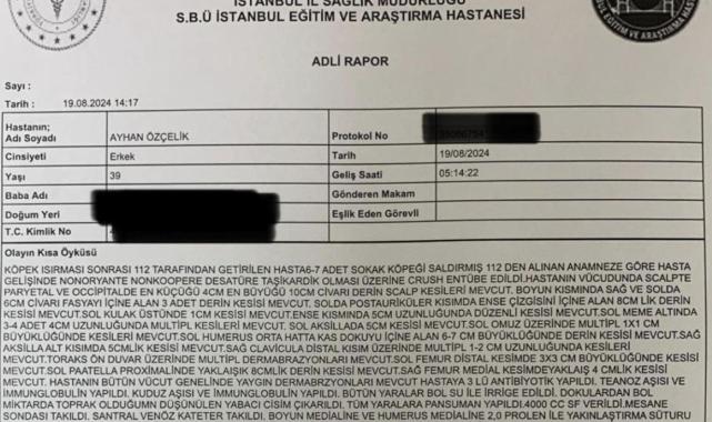 Fatih'te başıboş köpeklerin saldırısında ölen kişinin hastane raporu yayınlandı