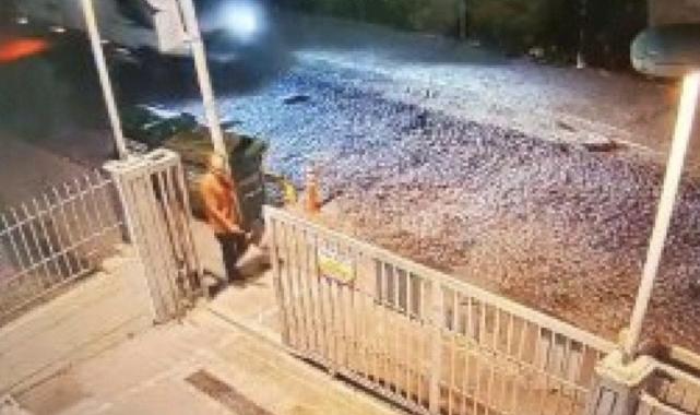 Fatih'te başıboş köpeklerin saldırısında ölen kişinin hastane raporu yayınlandı