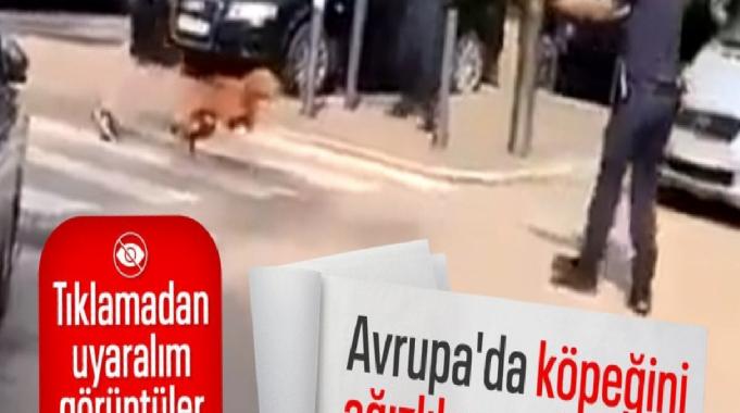 Fransa'da polis ağızlıksız gezdirilen köpeği vurdu