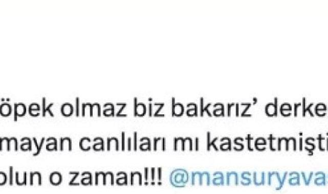 Gülbin Tosun, Mansur Yavaş'la ilgili paylaşımı nedeniyle zorunlu izne çıkarıldı