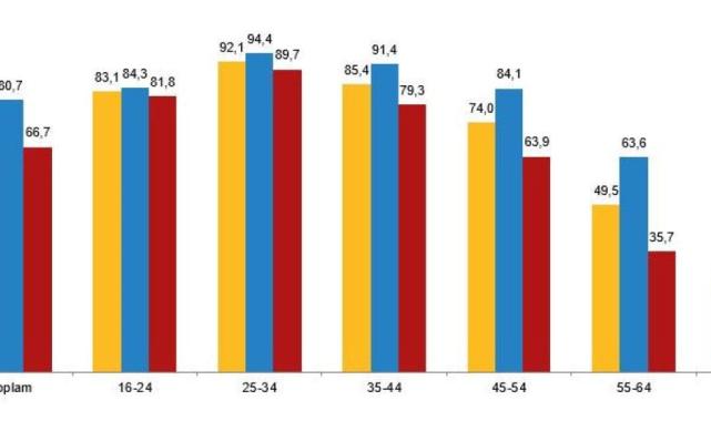 İnternet kullanan bireylerin oranı yüzde 88,8 oldu