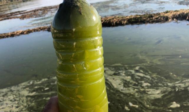 Isparta Eğirdir Gölü'nde müsilaj