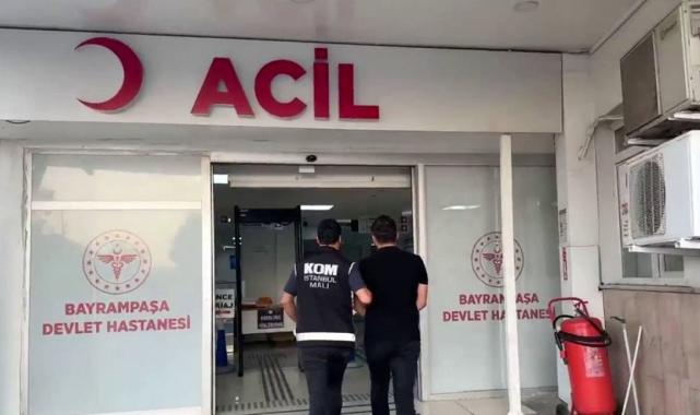 İstanbul'da hayvan barınağı adı altında vurgun yaptılar: MASAK raporu ortaya çıkardı