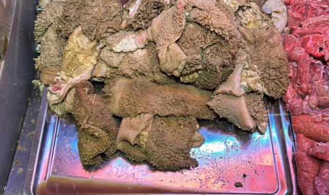 İstanbul'da sakatatçılarda hijyen tepkisi: Kokudan aşağıya inilmiyor