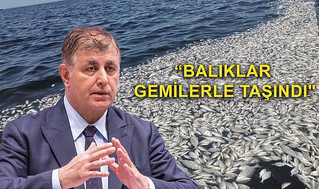 İzmir Büyükşehir Belediye Başkanı Cemil Tugay: Ölen balıklar buraya ait değil