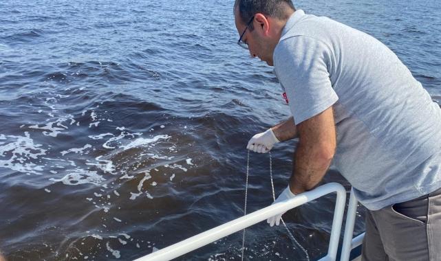 İzmir Körfezi'nde alarm: Çevre Bakanlığı balık ölümlerini inceliyor