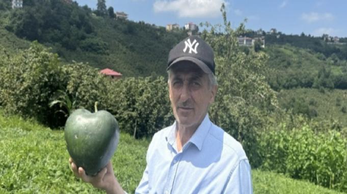 Karadenizli Temel, kalpli karpuz yetiştirdi, talihi döndü