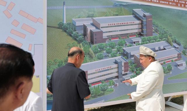 Kim Jong: Daha fazla intihar drone'u üretmeliyiz