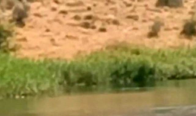 Kırşehir'de arkadaşının uyarısını dinlemedi girdiği derede boğuldu