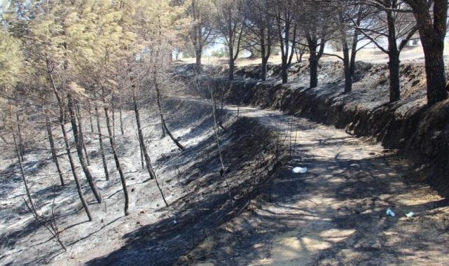 Manisalılar orman yangını için seferber oldu