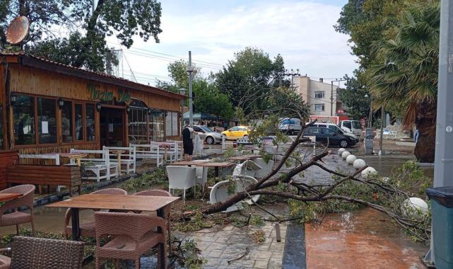 Marmaraereğlisi'nde fırtına: Araçlar devrildi, çatılar uçtu