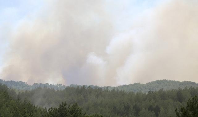 Muğla'daki yangını çıkardığı iddiasıyla 2 kişi yakalandı