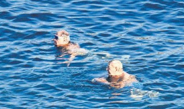 Rahmi Koç'un Bodrum'da deniz keyfi