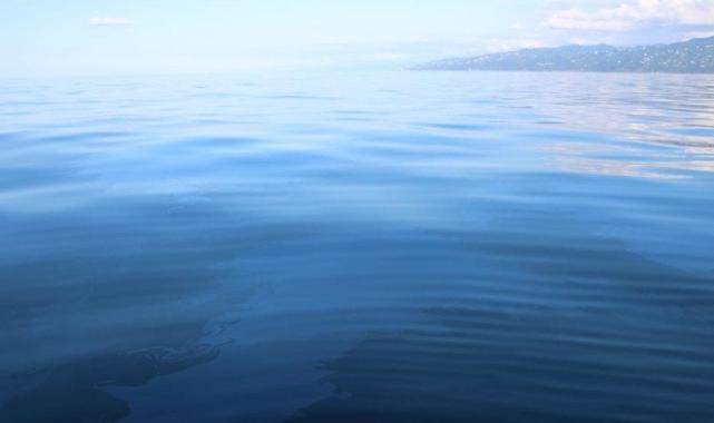 Rize sadece çayı ile değil petrolü ile de anılacak