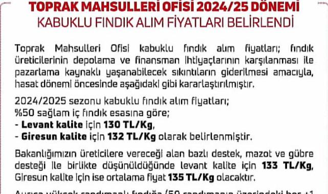 SON DAKİKA! Fındık alım fiyatı açıklandı