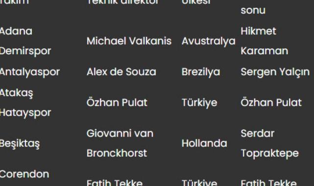Süper Lig'de yeni sezon başlıyor! Teknik direktör raporu