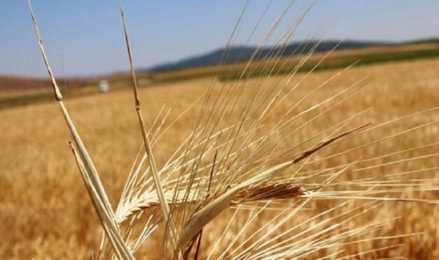 Bakan Yumaklı'dan 'destekleme' açıklaması