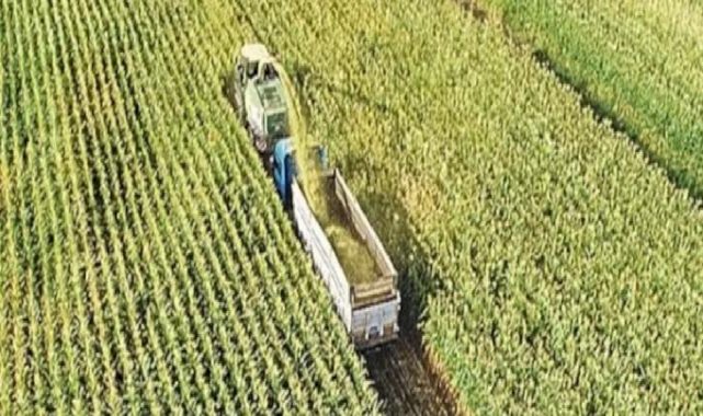 Ekilmeyen tarım arazisi devlet tarafından kiraya verilecek