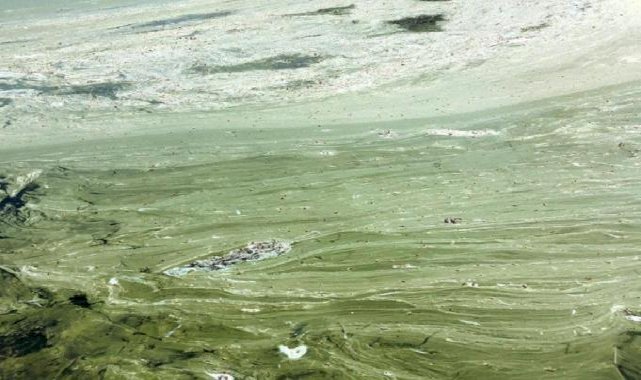 Isparta Eğirdir Gölü'nde müsilaj