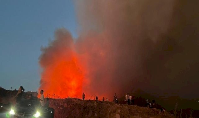 İzmir'deki yangının büyümesindeki sebep: 80 kilometre hızındaki rüzgarla kontrolden çıktı