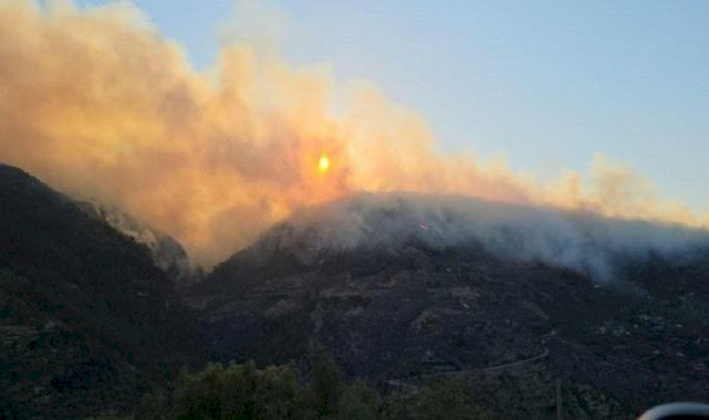 Manisa'daki orman yangını devam ediyor